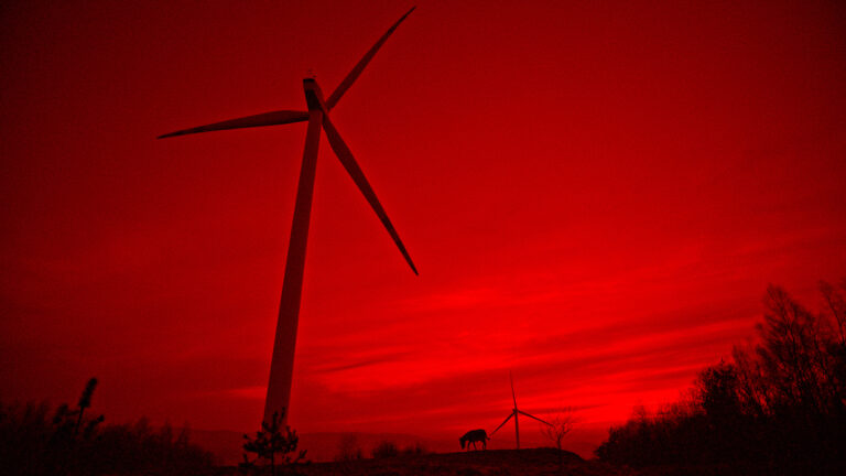 Recenzujemy filmy nominowane do Oscara!