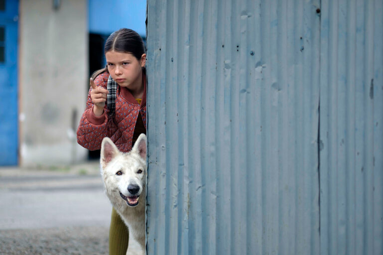 „O psie, który jeździł koleją” po raz drugi na pierwszym miejscu w polskich kinach | Raport Box Office